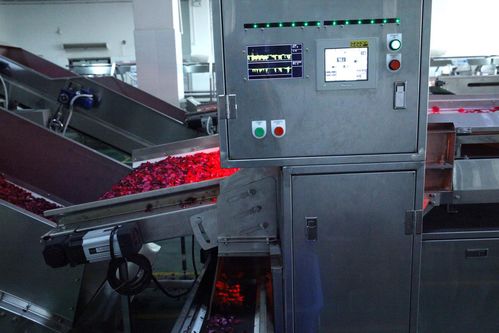 全面革新，智造美味 探秘嘉華食品花工廠(chǎng)技術(shù)升級(jí)之道